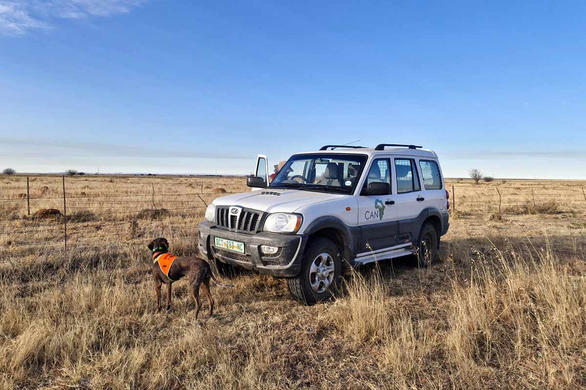Canines For African Nature Field Team