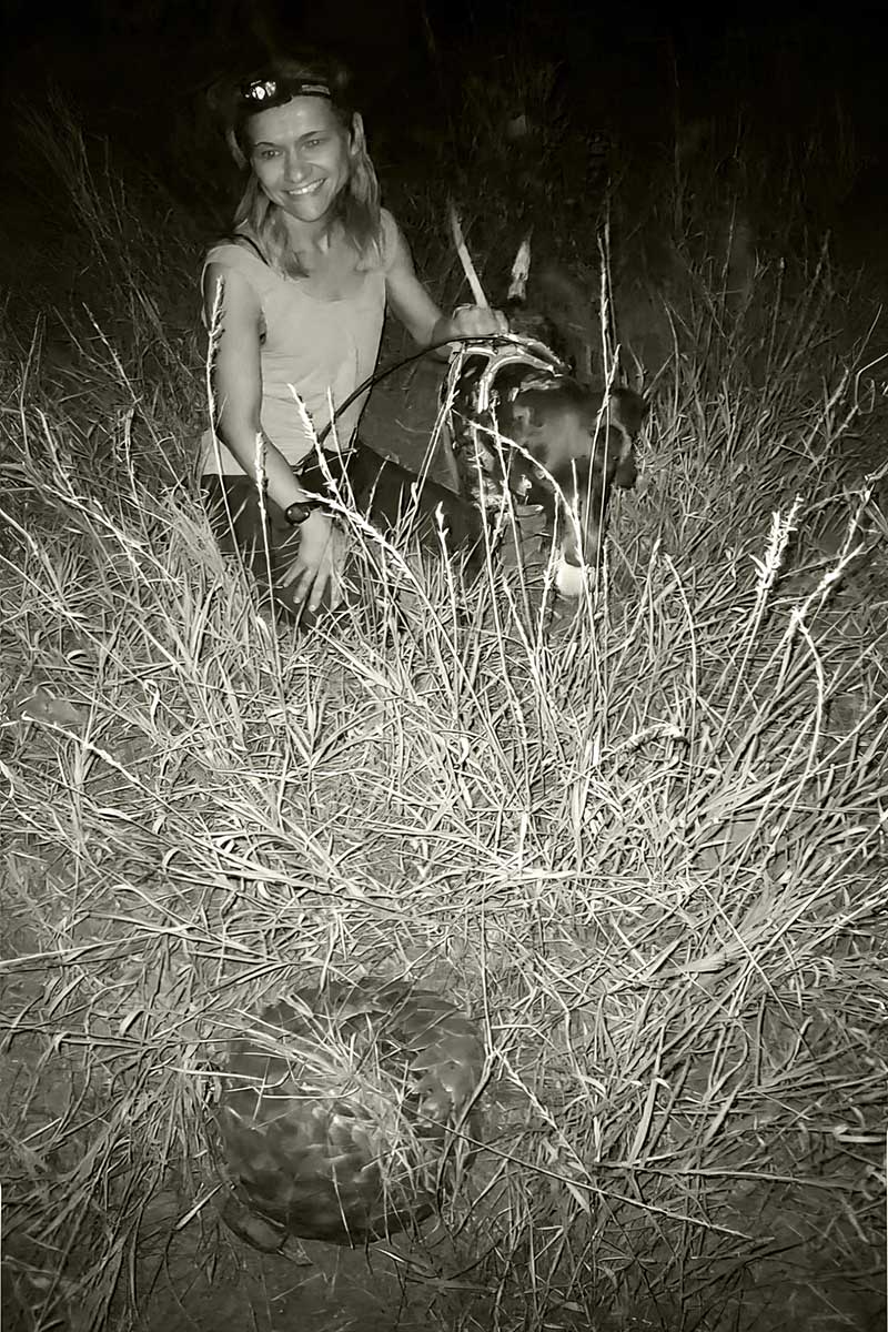 Michelle-Schroeder-with-detection-dog-and-pangolin Michelle Schroeder with detection dog and pangolin